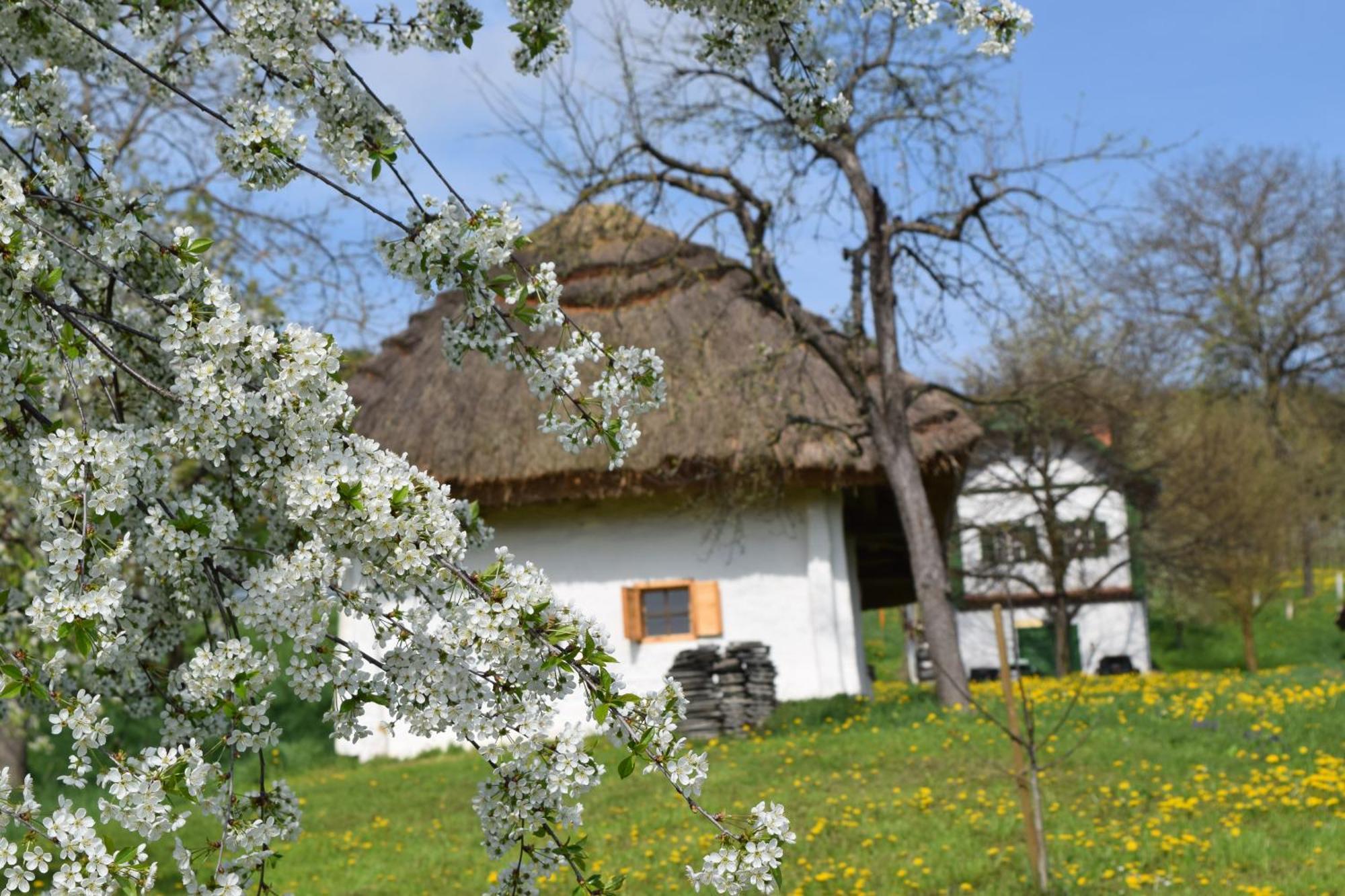 Genussgasthof & Hotel Beim Krutzler Heiligenbrunn Luaran gambar